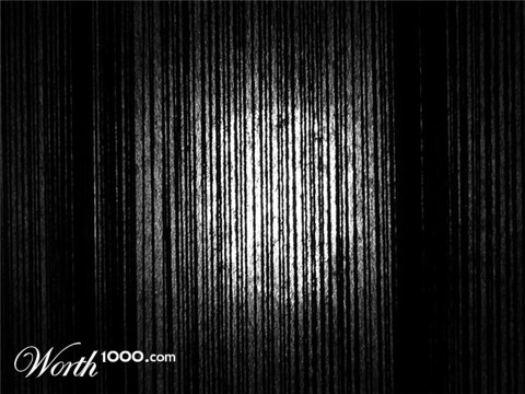 Photography by bailiee