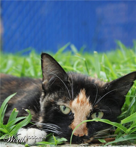 Photography by hollistereagle8