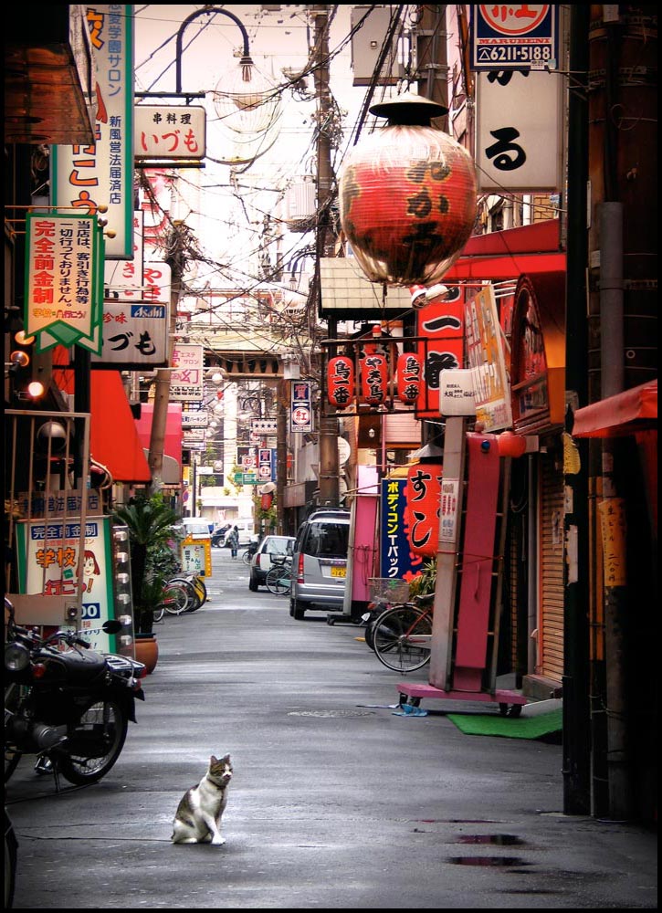 Fotografie von Qofcheez für DesignCrowd (Community Contests) | Design #8966805