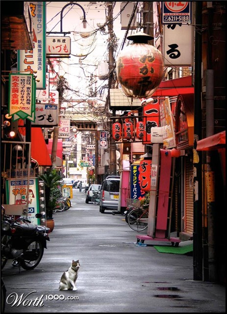 Photography by Qofcheez