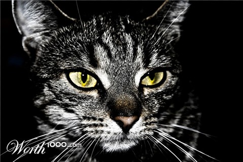 Photography by ScThom