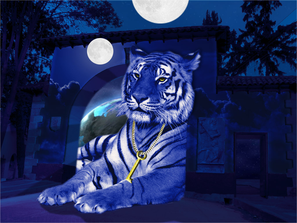 Photoshop Design by Aska Dsign for DesignCrowd (Community Contests) | Design #8965847