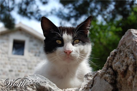 Photography by xalison