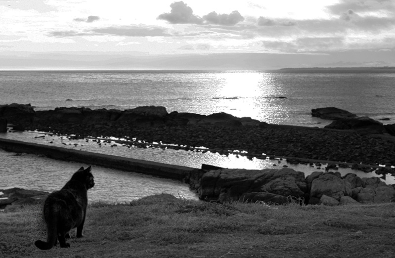 Photographie par ftmtorres pour DesignCrowd (Community Contests) | Design #8966829