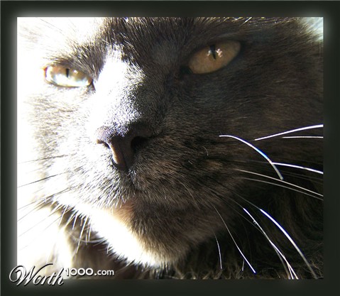 Photography by vpravda