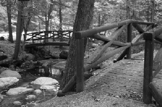 Photography by tmalone for DesignCrowd (Community Contests) | Design #8962466