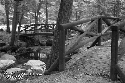 Photography by tmalone