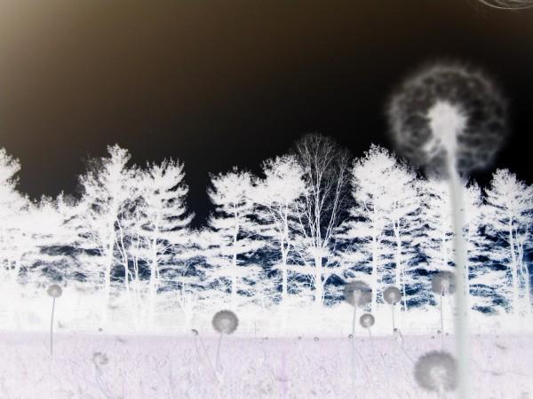 Photography by jphillip for DesignCrowd (Community Contests) | Design #8965712