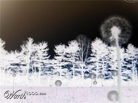 Photography by jphillip