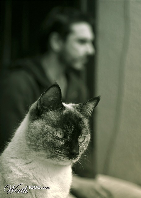 Photography by damas100