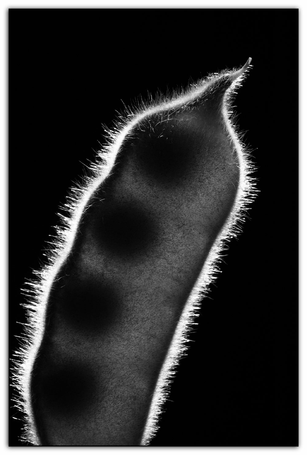 Fotografía por kimbomac para DesignCrowd (Community Contests) | Diseño #8968851