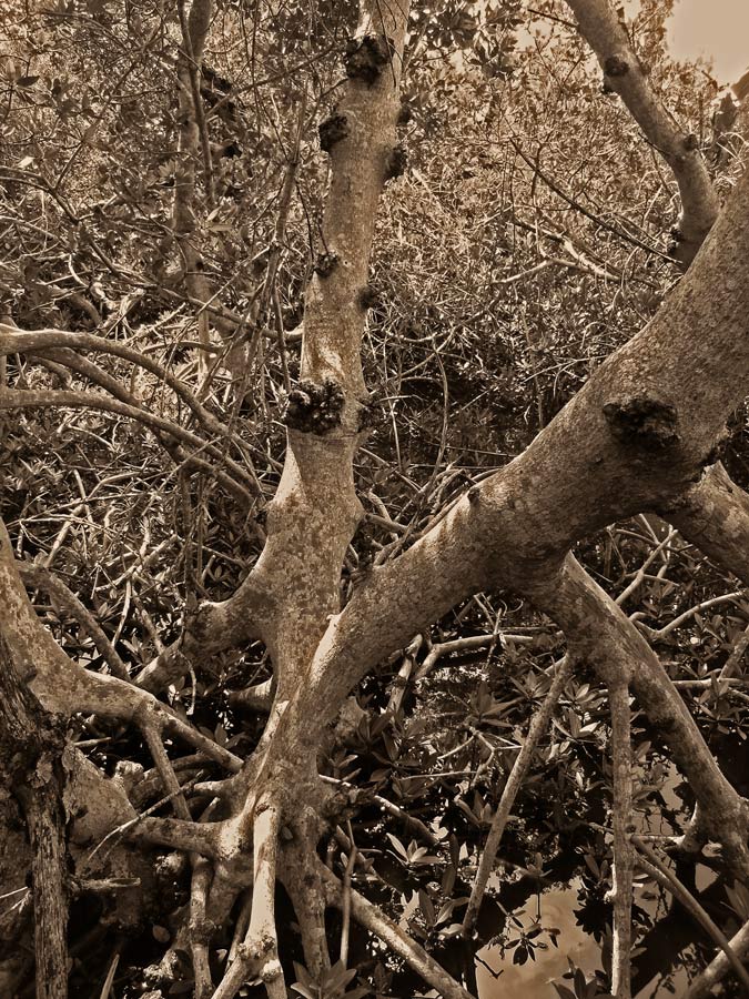 Photography by 12Step for DesignCrowd (Community Contests) | Design #8961996