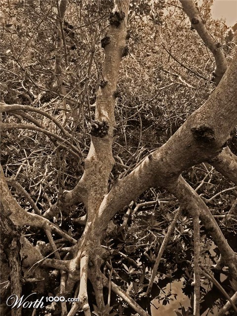 Photography by 12Step