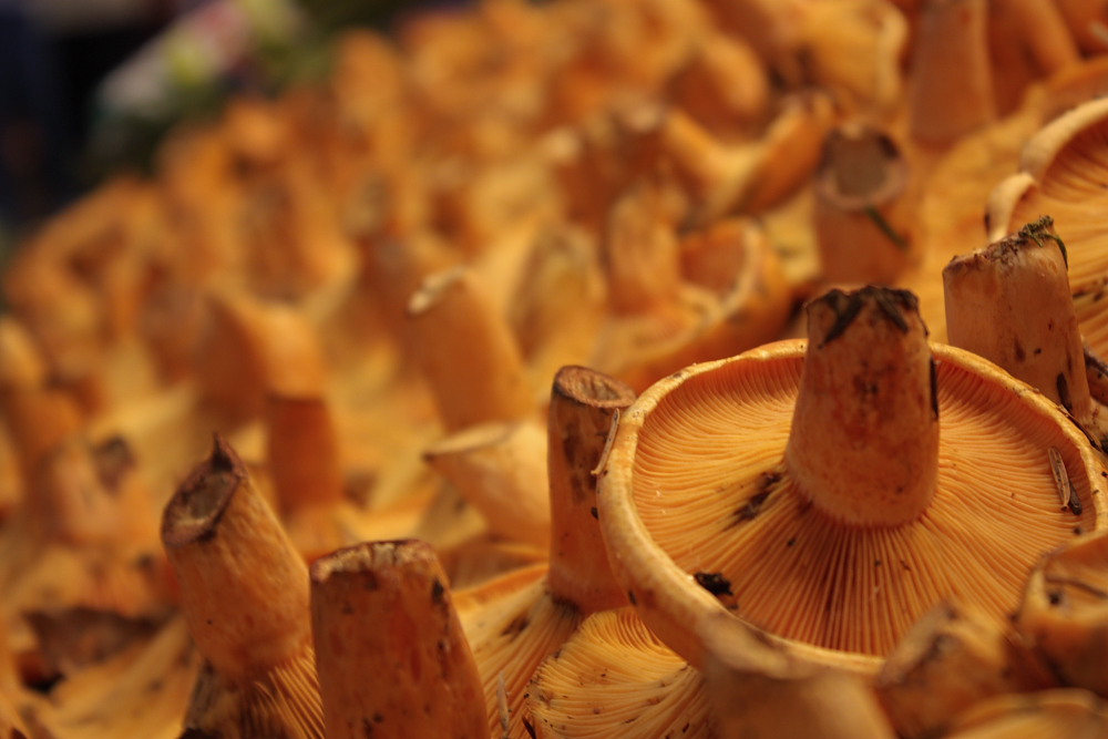 Photographie par janbau pour DesignCrowd (Community Contests) | Design #8962016