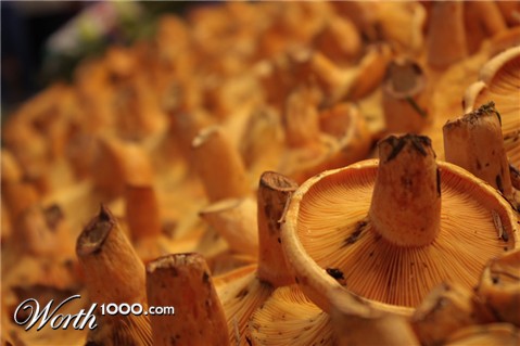 Photography by janbau