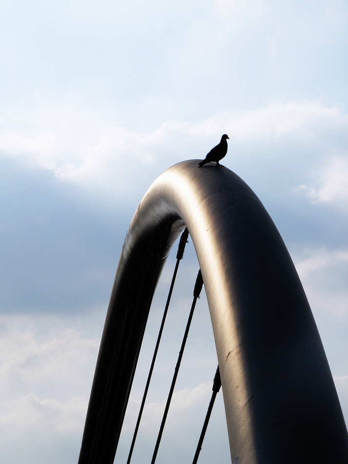 Photography by fujiellena for DesignCrowd (Community Contests) | Design #8962470