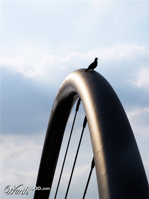 Photography by fujiellena