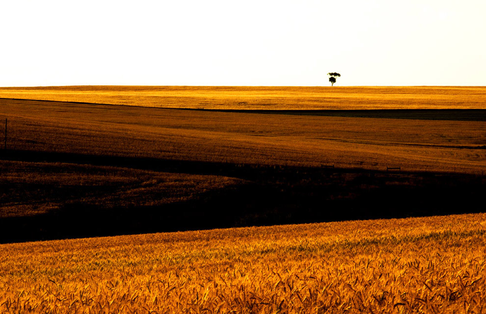 Photography by HappyWanderer for DesignCrowd (Community Contests) | Design #8964067