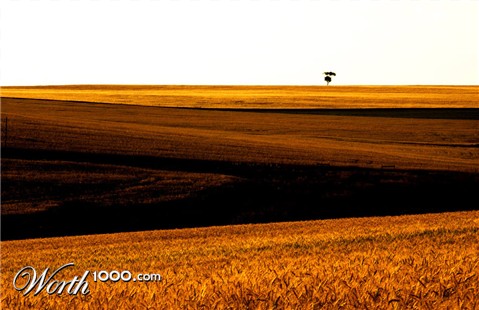 Photography by HappyWanderer