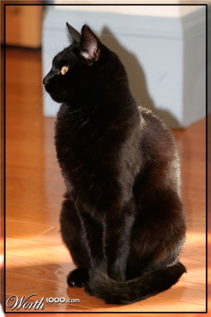 Photography by Stonee