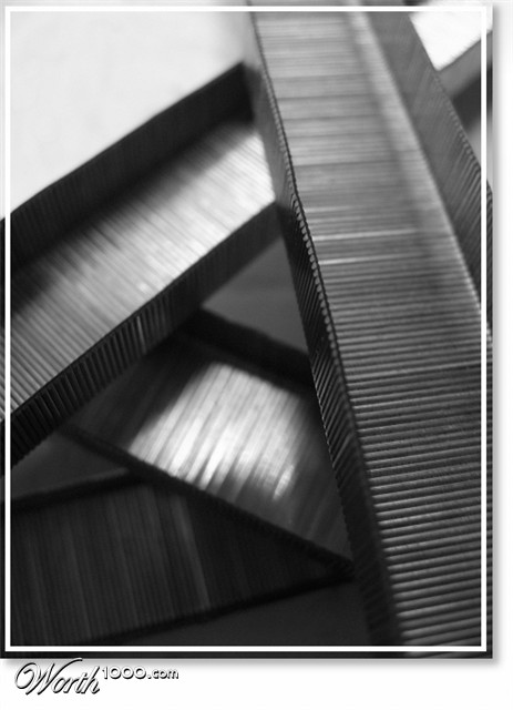Photography by Maximilian
