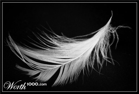 Photography by VoidPointer