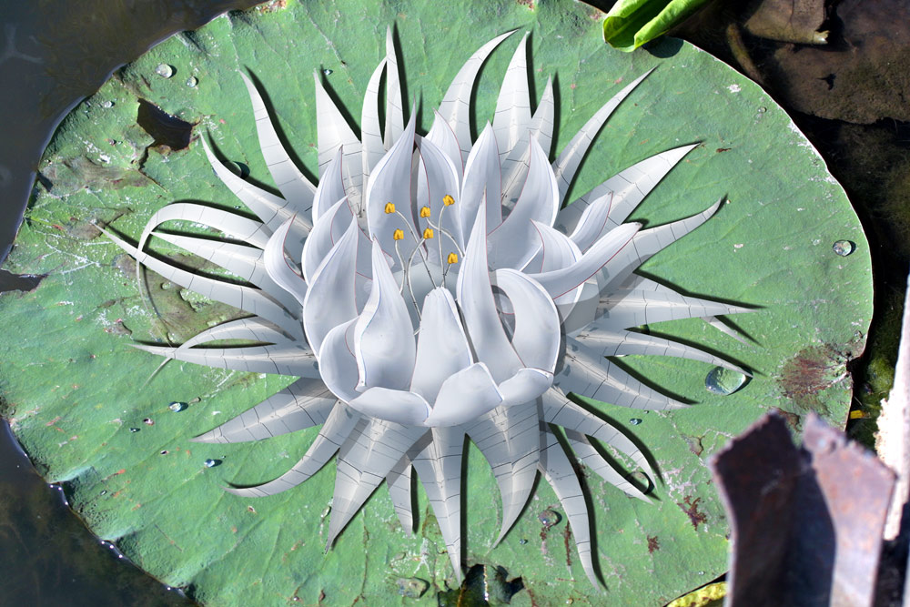 Photoshop Design by OHn0s3 for DesignCrowd (Community Contests) | Design #8963917