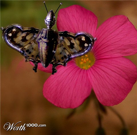 Photoshop Design by adrew27l
