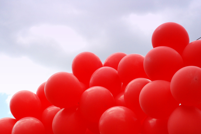 Photography by MallyKat for DesignCrowd (Community Contests) | Design #8962270