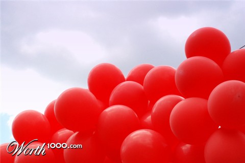 Photography by MallyKat