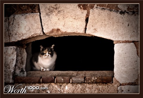 Photography by Marian