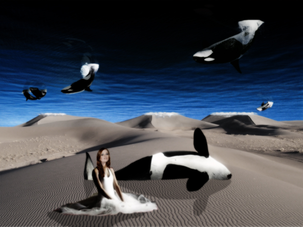 Photoshop Design by obyssely for DesignCrowd (Community Contests) | Design #8963601