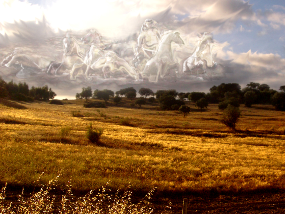 Photoshop Design by Ringozo for DesignCrowd (Community Contests) | Design #8963074