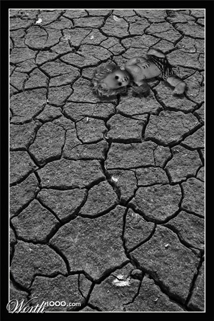 Photography by Jesusito