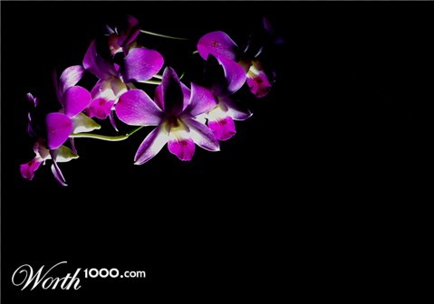 Photography by CygnusX1
