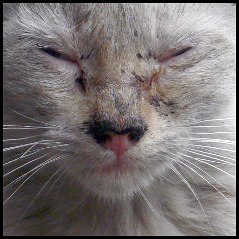 Photography by sausirhi for DesignCrowd (Community Contests) | Design #8967003