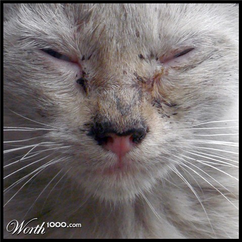 Photography by sausirhi