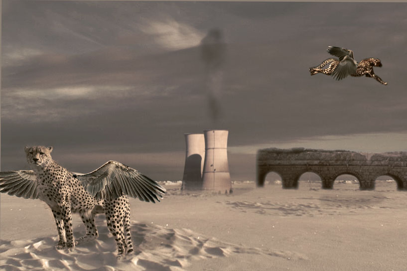 Photoshop Design by purplesplee for DesignCrowd (Community Contests) | Design #8963637