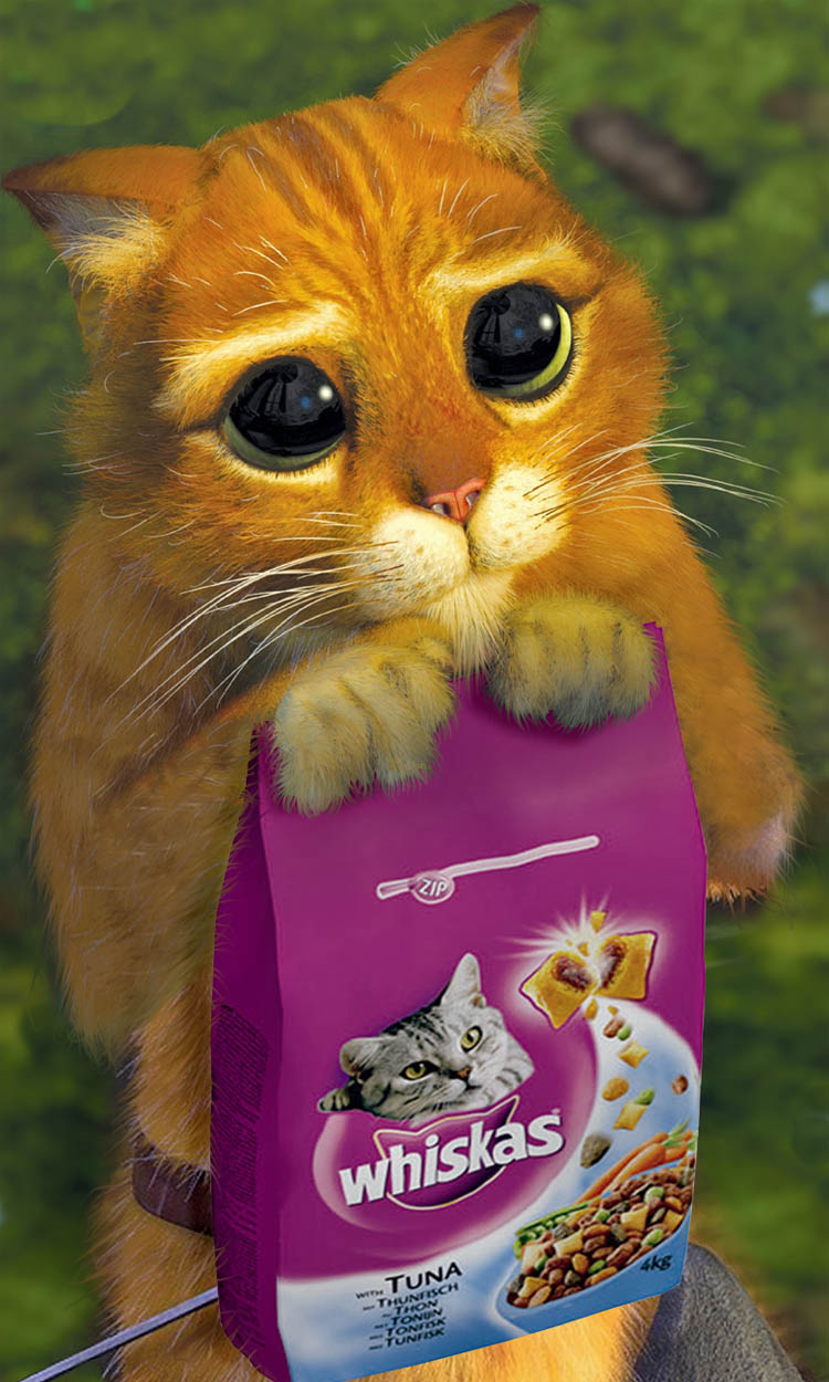 Diseño de Photoshop por CraigMc para DesignCrowd (Community Contests) | Diseño #8963239