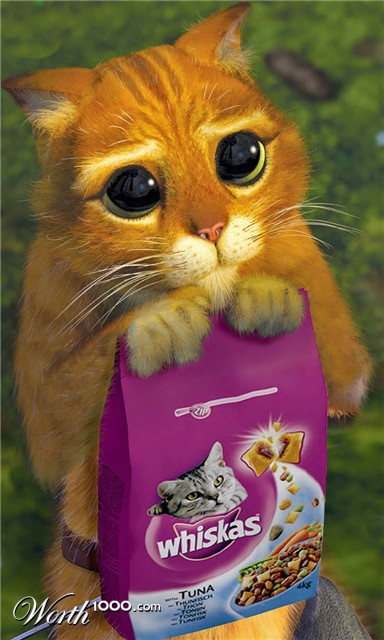 Photoshop Design by CraigMc