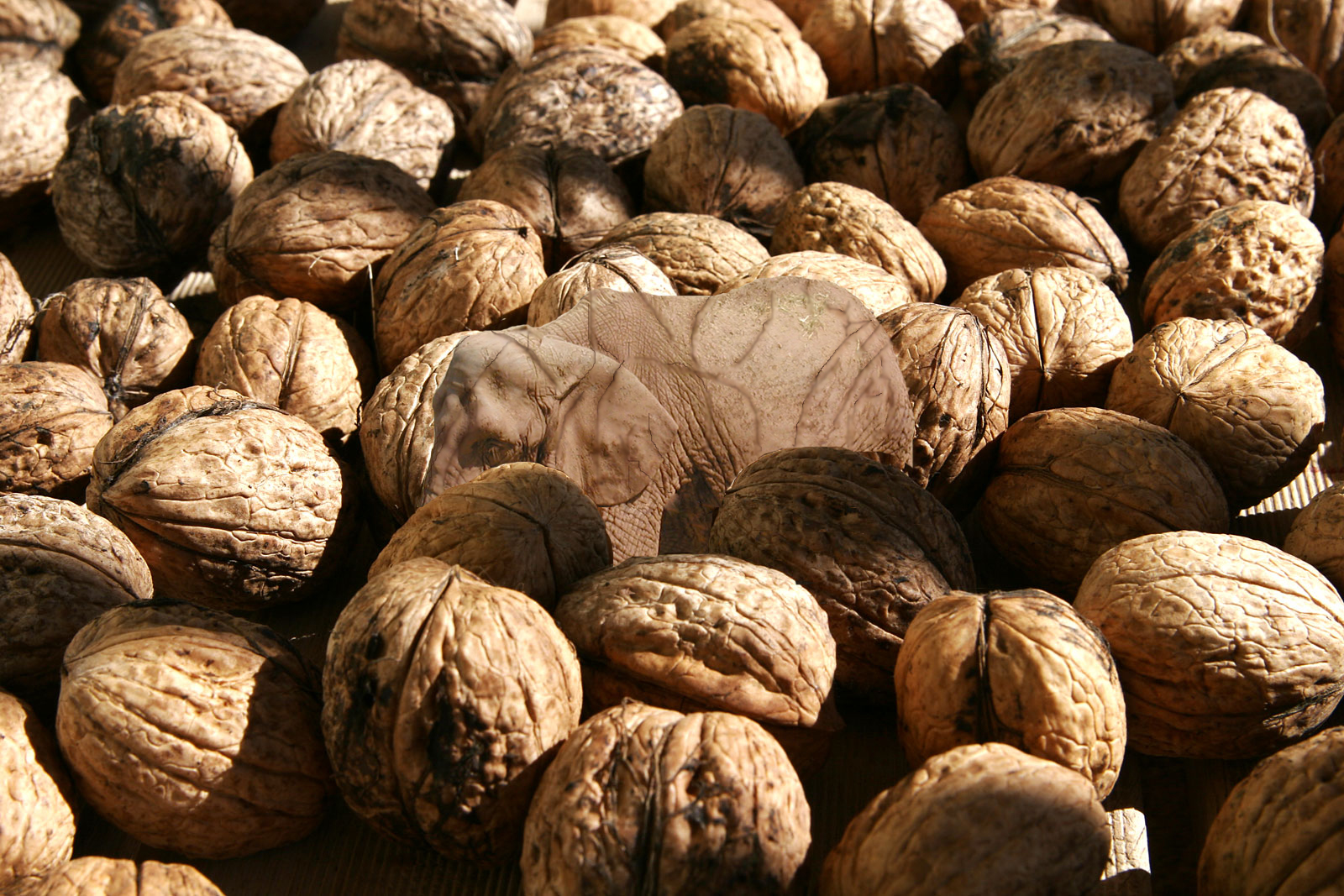 Photoshop Design by rayhyde for DesignCrowd (Community Contests) | Design #8963691