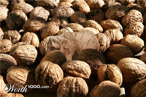 Photoshop Design by rayhyde