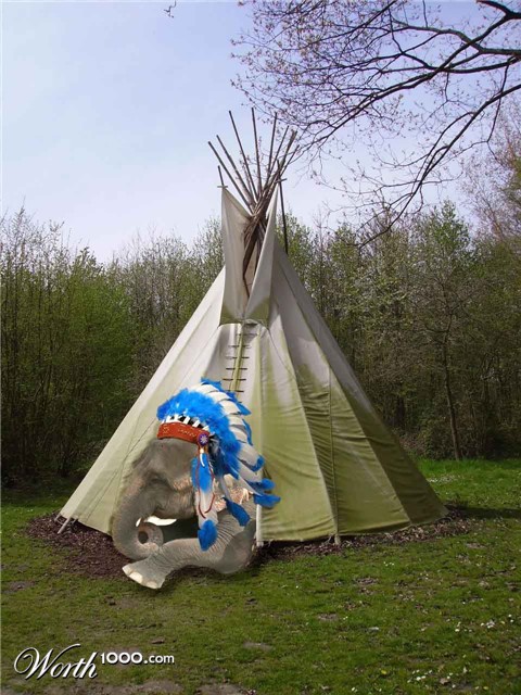 Photoshop Design by ccullen628