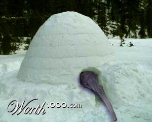 Photoshop Design by Hawn2011