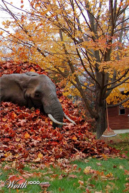 Photoshop Design by paddyf123