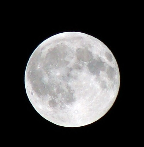 Photography by CarissaLynn for DesignCrowd (Community Contests) | Design #8962097