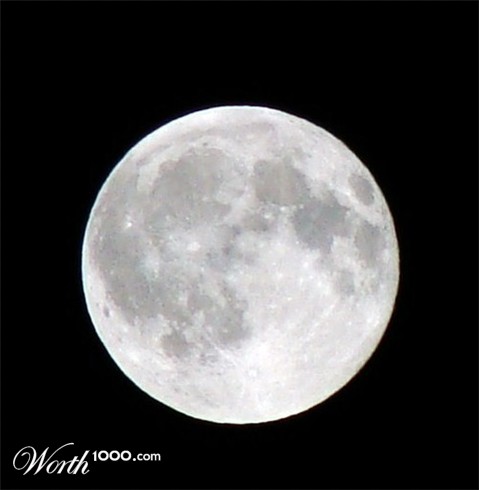 Photography by CarissaLynn