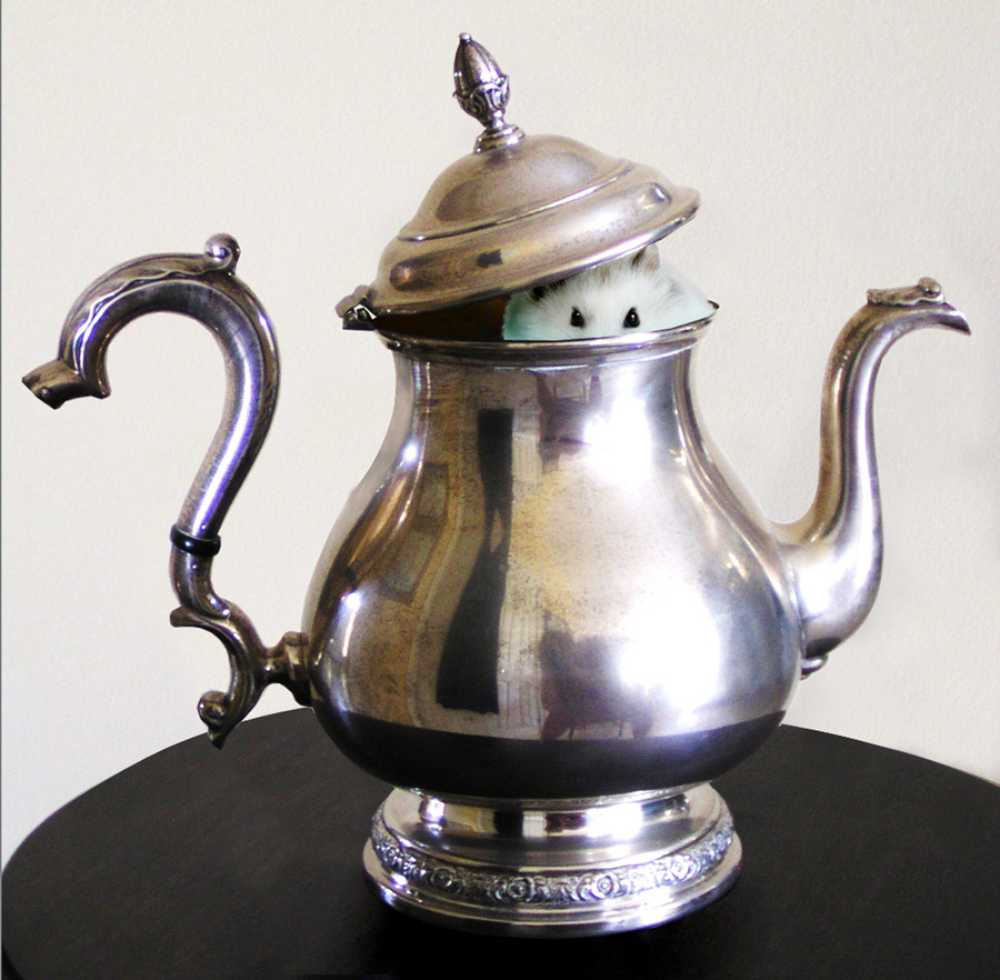 Diseño de Photoshop por p23456 para DesignCrowd (Community Contests) | Diseño #8964896