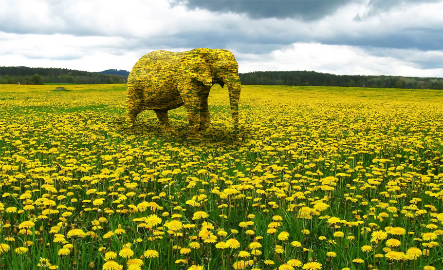 Photoshop Design by paulewatson for DesignCrowd (Community Contests) | Design #8963736