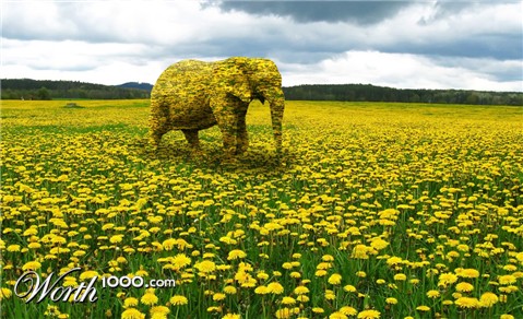Photoshop Design by paulewatson
